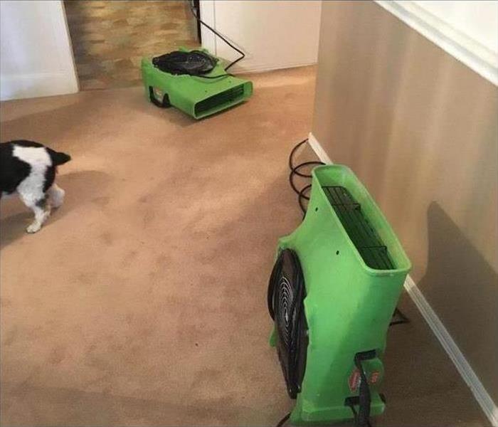 Two air movers placed in the carpet of a home.