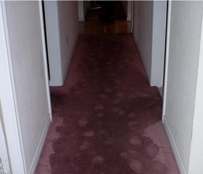 Hallway of a home, wet carpet.
